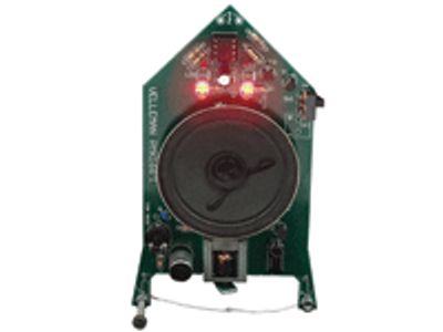 Elektroniskt spökbyggsats