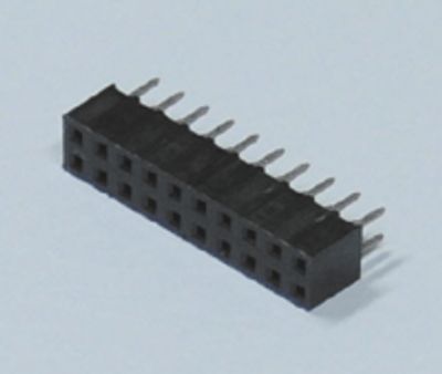 Stickkontakt 2x10-polig R-2