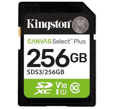 Minneskort Secure Digital (SD/XC) 256Gb (klass 10/UHS-1)