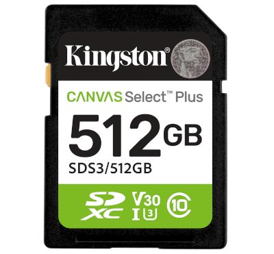 Minneskort Secure Digital (SD/XC) 512Gb (klass 10/UHS-1)